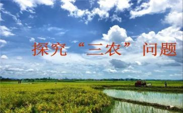 三农工作总结6篇
