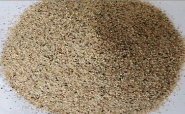 长沙味作文优质6篇