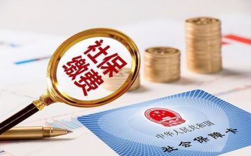 2024社保工作总结6篇