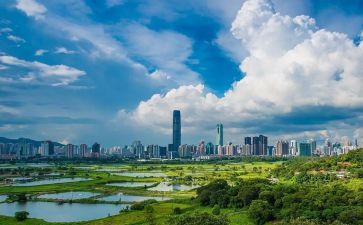 深圳的租赁合同模板7篇