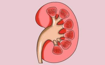 肾内科医生个人总结优质8篇