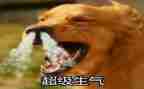 我生气了优秀作文优秀7篇