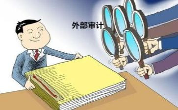 2024年审计部工作总结8篇