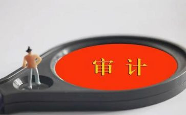 2024年审计年终工作总结最新5篇