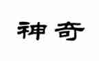 神奇的书的作文模板8篇