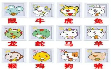 十二生肖活动教案6篇