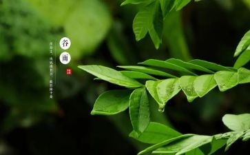 十四运主题活动方案5篇