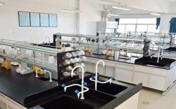 实验室的年终总结8篇