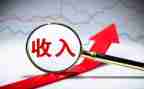 95后收入调查报告范文7篇
