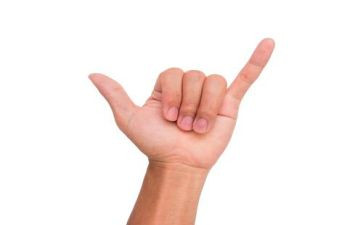 数手指教案优质7篇