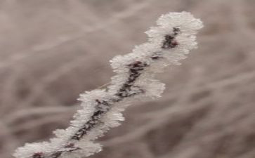 露和霜科学教案6篇