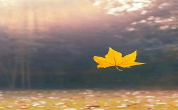 书抒情作文模板6篇