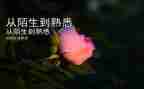 我身边熟悉的人的作文5篇