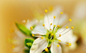 四月的风作文7篇
