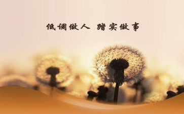 踏实作文5篇