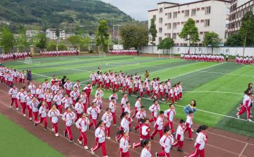 体育活动幼儿园大班教案7篇