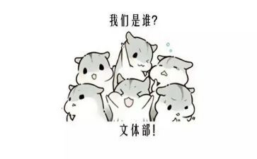 文体部工作总结优质8篇