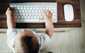 文员月工作总结报告5篇