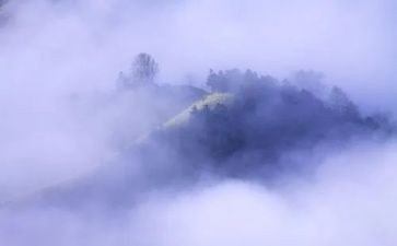 雾的孤儿读后感5篇