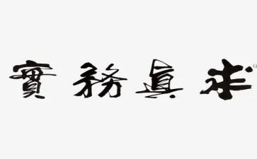 社会服务实践总结6篇