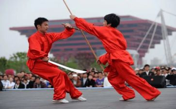 武术进校园活动总结5篇