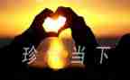 以珍惜自己的作文8篇