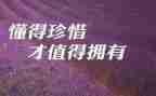我珍惜的作文通用6篇