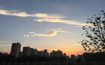 大班下班级工作计划参考5篇