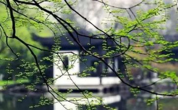 我想起的一件事作文通用7篇