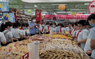 乡镇食品安全半年工作总结6篇