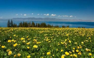 藤野先生读后感读后感8篇