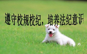 校纪检部工作计划参考6篇