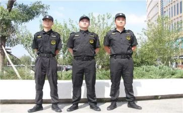 2024年小区保安年度总结5篇