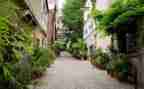写小巷的作文模板6篇