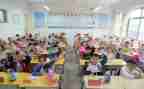 小学听数学课心得体会优质6篇