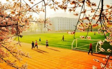 《新校园》作文模板8篇