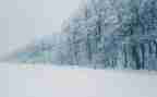 下雪天安全教案7篇