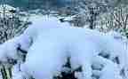 下雪啦幼儿园教案5篇