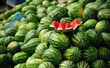 大西瓜游戏教案8篇