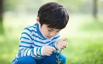 数学兴趣活动总结6篇