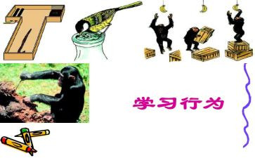 行为养成作文5篇