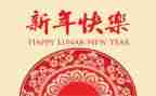 过新年了教案反思7篇