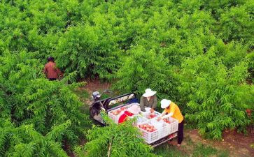 最新农村房屋买卖合同6篇