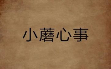 开心事作文600字最新7篇
