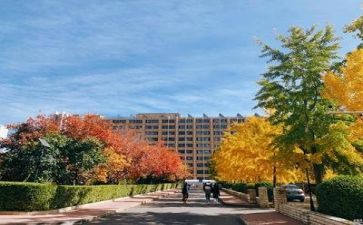 学校团餐工作总结8篇