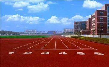 学校副校长工作总结6篇
