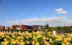 2024年学校安全生产工作总结优质5篇