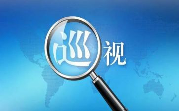 巡视组巡视工作总结5篇