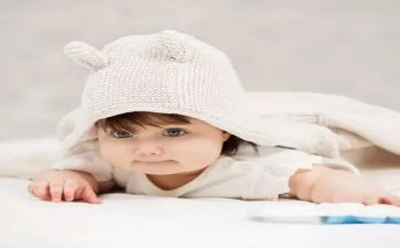 蚕宝宝的教案优秀8篇