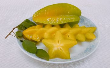 画杨桃教案精选7篇